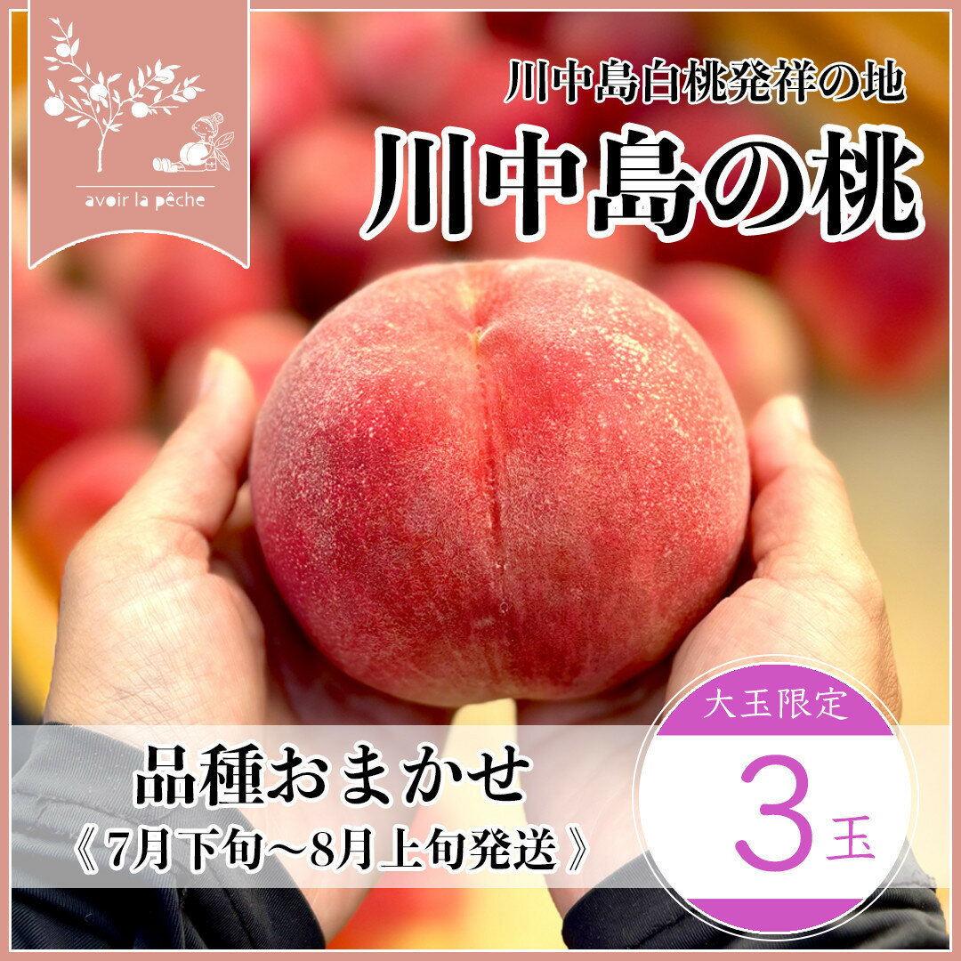 【ふるさと納税】【先行予約】川中島の桃 大玉3玉 品種おまかせ 7月下旬～8月上旬発送予定