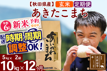 ※令和6年産 新米予約※《定期便12ヶ月》秋田県産 あきたこまち 10kg【玄米】(5kg小分け袋) 2024年産 お届け時期選べる お届け周期調整可能 隔月に調整OK お米 藤岡農産