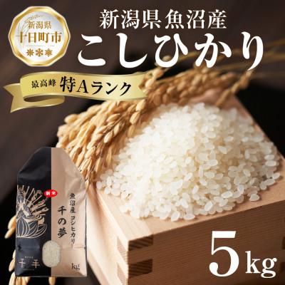 ふるさと納税 十日町市 魚沼産 コシヒカリ 精米 5kg 産地直送 新潟県十日町市