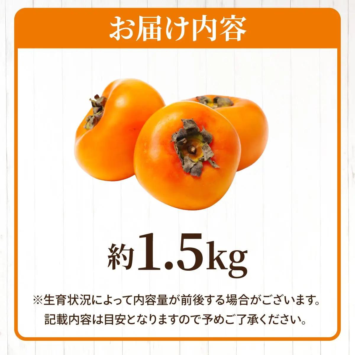 福岡より直送！種がほとんどない新ブランド 柿 秋王 約1.5kg 化粧箱入（2026年10月以降発送）