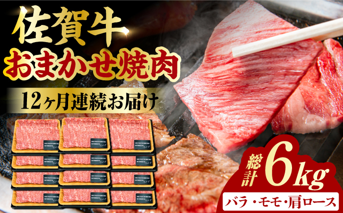 
【12回定期便】 艶さし！ 佐賀牛 焼肉用 計6kg （500g×12回） ※バラ・肩ロース・モモのいずれの部位※ 吉野ヶ里町 [FDB035]
