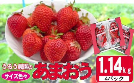 いちご 2027年2月下旬より発送 いちご あまおう サイズ色々4パック 約1.14kg