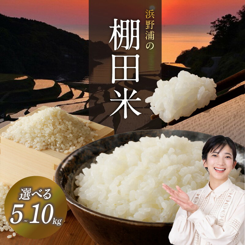 【ふるさと納税】【容量選べる】【2026年9月より新米発送予定】浜野浦の棚田米 5kg or 10kg ／ 新米 米 お米 精米 白米 ご飯 棚田 産地直送 数量限定 佐賀県 玄海町 常温【★ 観光大使 おすすめ ★】