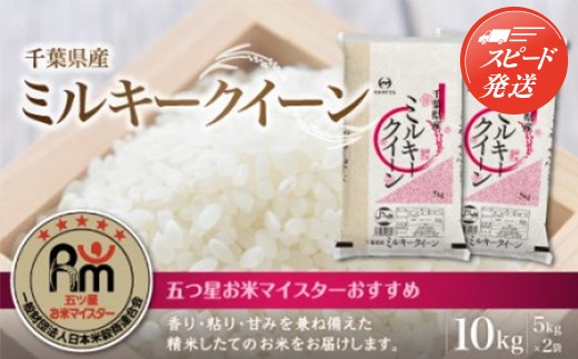 
                  【最短2～7営業日出荷】令和7年産 千葉県産ミルキークイーン10kg (精米5kg×2袋) ふるさと納税 米 千葉県産 大網白里 コシヒカリ 精米 こめ 送料無料
                