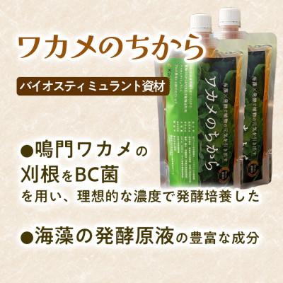 ふるさと納税 板野町 ワカメのちから　300mボトル |  | 01
