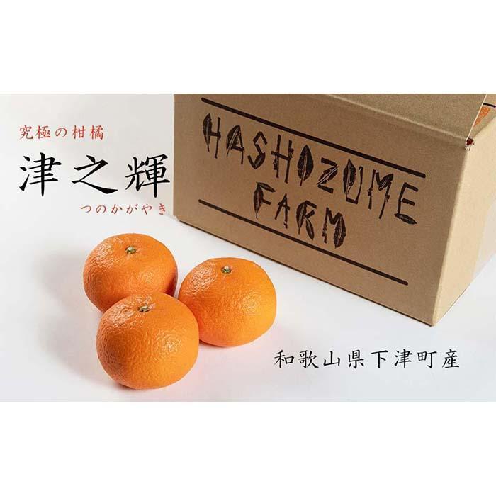 【ふるさと納税】【選べる容量】津之輝 約3kg or 約5kg S・M・Lサイズおまかせ 《赤秀》和歌山県まごころ産直みかんより農園直送！【北海道・沖縄県・一部離島 配送不可】つのかがやき 津の輝き 春 柑橘 果物 みかん オレンジ【Mg6】