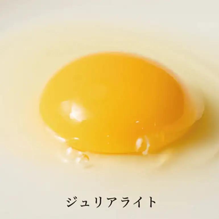 はっこう卵 3種 食べ比べ MS~L サイズ 55個 +破卵保障5個 卵 種類 サイズ おまかせ 詰め合わせ 白卵 30個 赤卵 20個 青卵 10個 アローカナ 詰合せ たまご タマゴ 食比べ 生卵