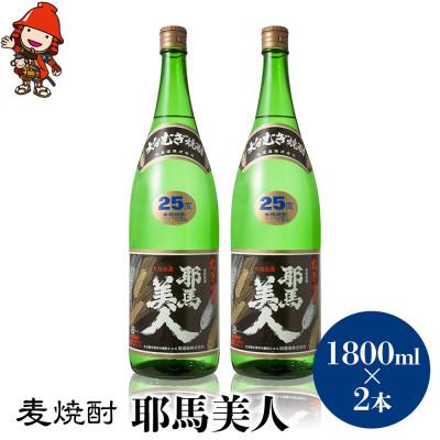 ふるさと納税 中津市 麦焼酎　耶馬美人25度　 1,800ml×2