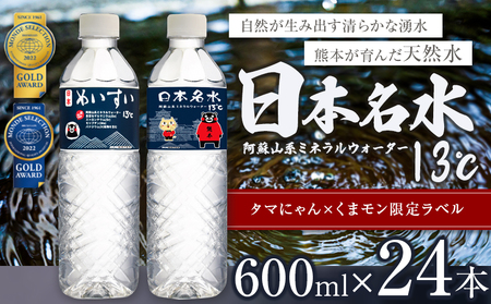 日本めいすい13℃ 600ml × 24本 | 水 ミネラルウォーター 熊本県 玉名市