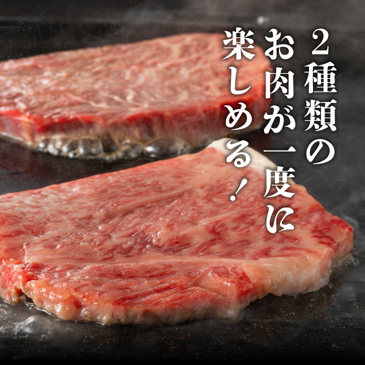 前沢牛ステーキ食べ比べ 合計480g サーロイン・モモ 各120g×2枚【冷蔵発送】 離島配送不可 [CH001]