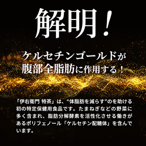 定期便 3ヵ月 伊右衛門 特茶TOKUCHA 伊右衛門（特定保健用食品）500mlペット 2箱 48本　