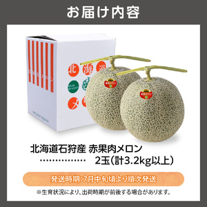 北海道石狩産 赤果肉メロン2玉 計3.2kg以上｜メロン フルーツ 果物 北海道 石狩市