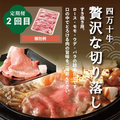 ふるさと納税 四万十市 【4ヵ月連続定期便】四万十市人気魚介&お肉返礼品 R6 |  | 03