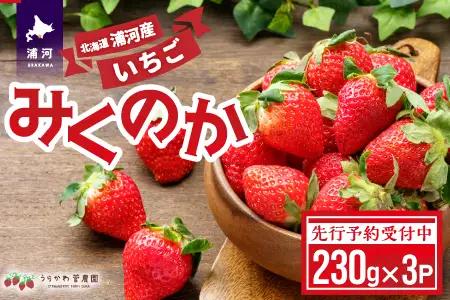 【先行受付開始！】北海道浦河産いちご「みくのか」230g×3P[13-1430]