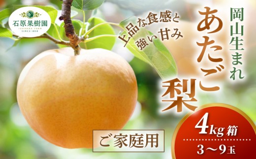 
                  家庭用 あたご梨 4kg箱 青秀 3～9玉 岡山県産 | あたご梨 愛宕梨 梨 ご家庭用 ご自宅用 御歳暮 果物 くだもの フルーツ 石原果樹園【ishk037-01】
                