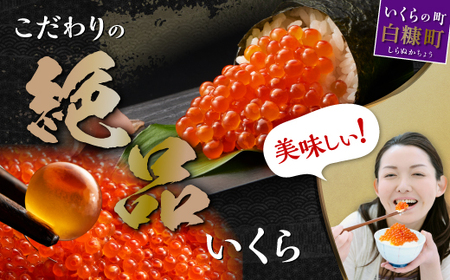 【定期便】 高評価 4.81 2回お届け いくら醤油漬 (鮭卵) 定期便 400g (200g×2) ×2回 ふるさと納税 海鮮 いくら イクラ 鮭いくら 鮭イクラ 醤油漬け 鮭 魚卵 魚 魚介 小分