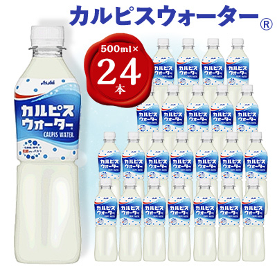 
            ＜2ヵ月毎定期便＞『カルピスウォーター』PET500ml　24本　隔月全6回【4011133】
          