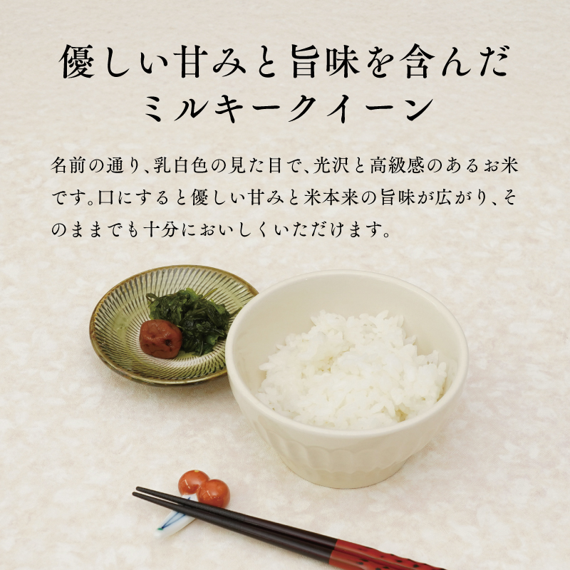 《令和8年度産 先行予約》【数量・期間限定】井野農園のミルキークイーン 米 ご飯 ごはん おにぎり 新米