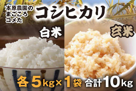 【令和5年産】【白米5kg×1袋と玄米5kg×１袋】福井県産 コシヒカリ10kg ～本原農園からまごころコメて～ 【お米 こしひかり 白米 玄米 10キロ 選べる 精米 ブランド米 ごはん ご飯 おい