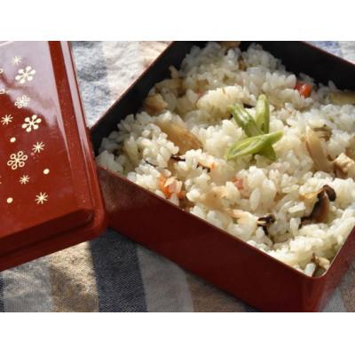 ふるさと納税 直方市 ご飯に混ぜるだけ!簡単手作り 冷凍 ご飯の具　きみちゃんのバラ寿司・きみちゃんのかしわめし