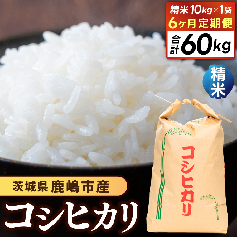★先行予約 令和8年産★【6ヶ月定期便】 米 コシヒカリ 10kg × 6回 (精米) 鹿嶋市産【お米 白米 こしひかり 茨城県 鹿嶋市 200000円以内】(KDS-25)