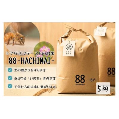 ふるさと納税 山口市 ミツバチと地球の未来を守るお米【88HACHIMAI】玄米5kg C138