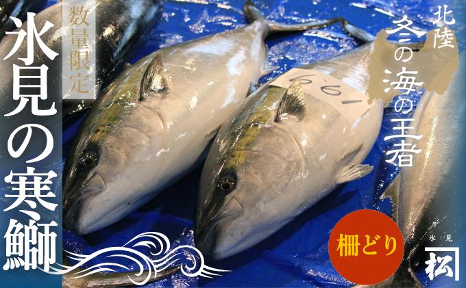 
                  【先行予約】天然寒鰤 『ひみ寒ぶり』一本丸ごと便（柵どり処理）※配送エリア限定※　
                