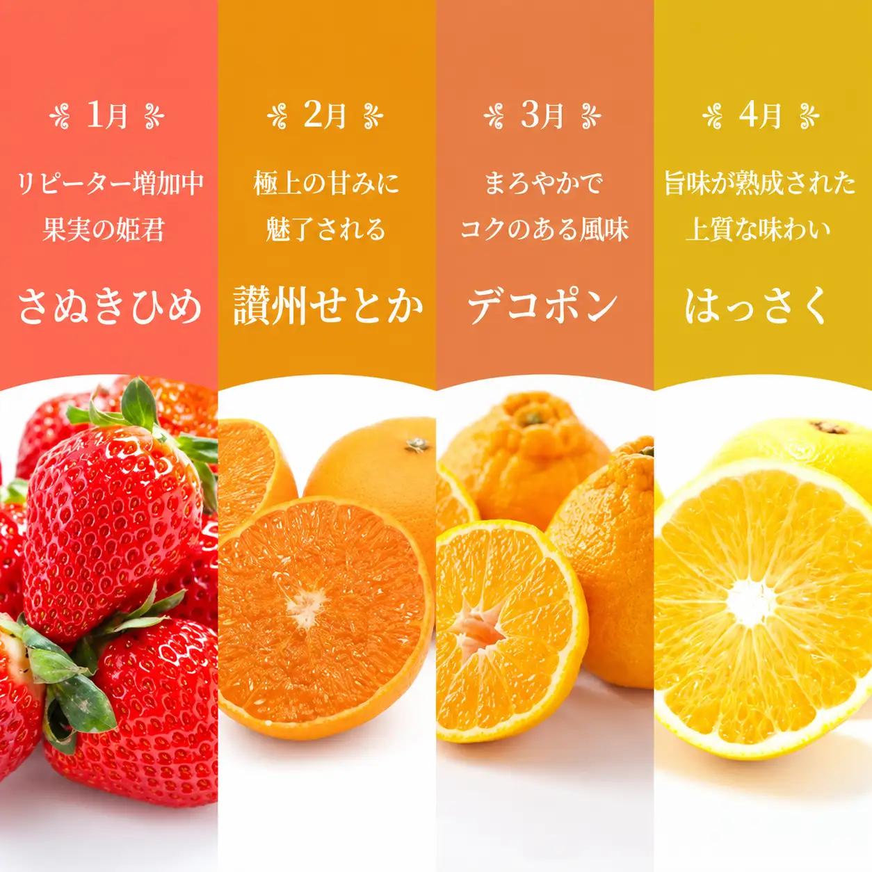 【百果繚乱】【定期便 12ヶ月】 果物定期便 果物定期便 フルーツ