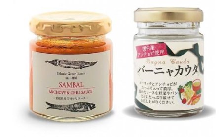 世界の調味料お試しセット おすすめ 人気 ギフト セット 愛媛県 松山市 お酒のお供 ごはんのお供【IS0111】