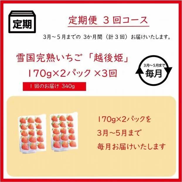 先行予約  定期便 3回【3～5月発送】雪国完熟いちご越後姫 170g×2全3回 定期配送 越後姫 いちご 定期便 完熟 苺 新潟 苺の花ことば