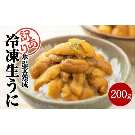 〈期間限定/数量限定〉訳あり 氷温(R)熟成 冷凍 生うに 200g（100g×2） 宮城県産 岩手県産 規格外 不揃い 生ウニ 生雲丹 うに ウニ 雲丹 新鮮うに キタムラサキウニ ウニ丼 雲丹 冷凍 うに 冷凍 ウニ 冷凍 雲丹 訳あり 雲丹 ウニ ウニ ウニ ウニ ウニ ウニ ウニ ウニ ウニ