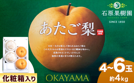 あたご梨 4～6玉 約4kg 化粧箱 石原果樹園 《2024年11月中旬-12月下旬頃より発送予定》｜梨梨梨梨梨梨梨梨梨梨梨梨梨梨梨梨梨梨梨梨梨梨梨梨梨梨梨梨梨梨梨梨梨梨梨梨梨梨梨梨梨梨梨梨梨梨梨梨梨梨梨梨梨梨梨梨梨梨梨梨梨梨梨梨梨梨梨梨梨梨梨梨梨梨梨梨梨梨梨梨梨梨梨梨梨梨梨梨梨梨梨梨梨梨梨梨梨梨梨梨梨梨梨梨梨梨梨梨梨梨梨梨梨梨梨梨梨梨梨梨梨梨梨梨梨梨梨梨梨梨梨梨梨梨梨梨梨梨梨梨梨梨梨梨梨梨梨梨梨梨梨梨梨梨梨梨梨梨梨梨梨梨梨梨梨梨梨梨梨梨梨梨梨梨梨梨梨梨梨梨梨梨梨梨梨梨梨梨梨梨梨梨梨梨梨梨梨梨梨梨梨梨梨梨梨