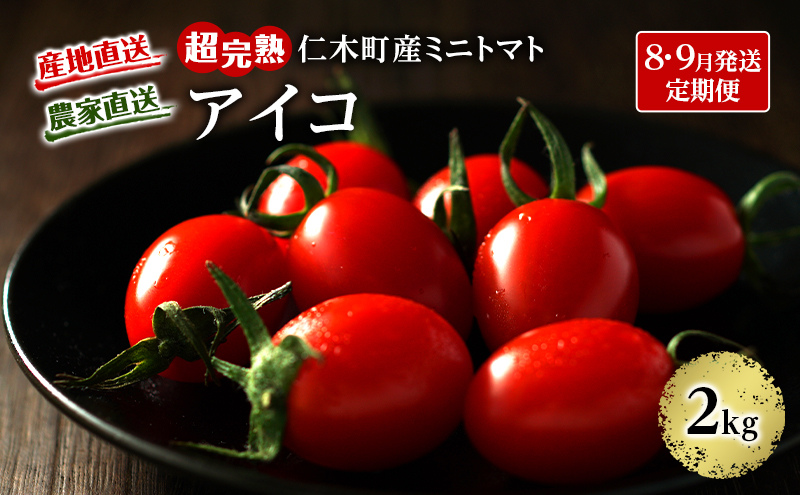 8・9月 2回発送[先行受付] 超完熟ミニトマト【アイコ】2kg（1kg×2箱）栽培期間中 農薬・除草剤不使用 サイズ混載 トマト ミニトマト アイコ 野菜 定期便 北海道 仁木町 [アイコファーム]
