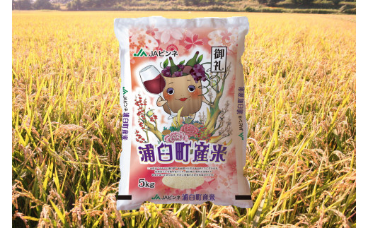 【6回定期便】 ＜令和8年産＞浦臼産 ゆめぴりか 精白米 10kg（5kg×2袋）米 お米 ブランド米 定期 北海道産 北海道 浦臼町 【2026年10月下旬より順次発送】
