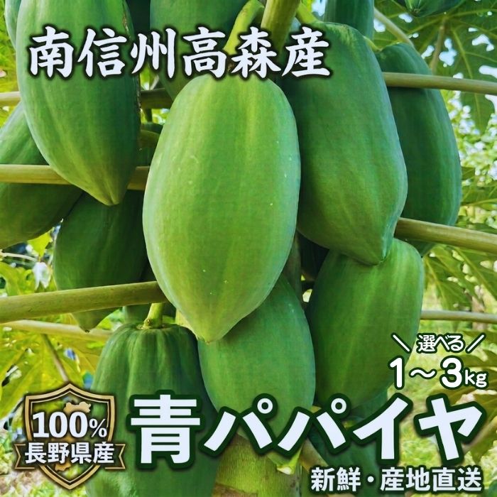 【ふるさと納税】南信州高森産 青パパイヤ 1kg～【配送不可地域：離島】