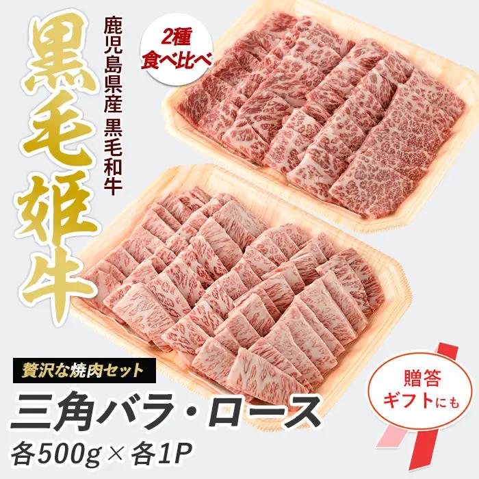 A4ランク未経産黒毛和牛 黒毛和牛盛り盛り焼き肉 三角バラ・肩ロースセット 指宿育ち Meat you IB029-005 牛肉 牛肉 