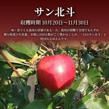 【青森直送 季節の味覚をお届け!】サン北斗(幻のサン北斗)3kg×1箱(家庭用)青森産 産地直送【配送不可地域：離島】【1700971】
