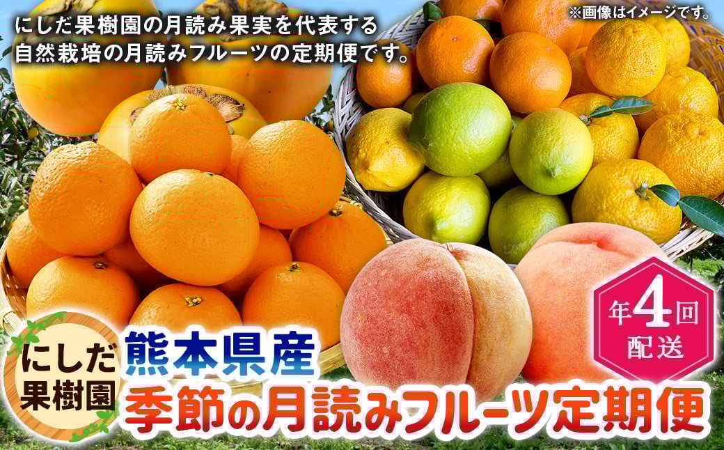 【年4回定期便】にしだ果樹園の熊本県産季節の月読みフルーツ定期便
