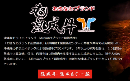 おきなわブランド【超熟成牛】と琉球在来【アグー豚】セット