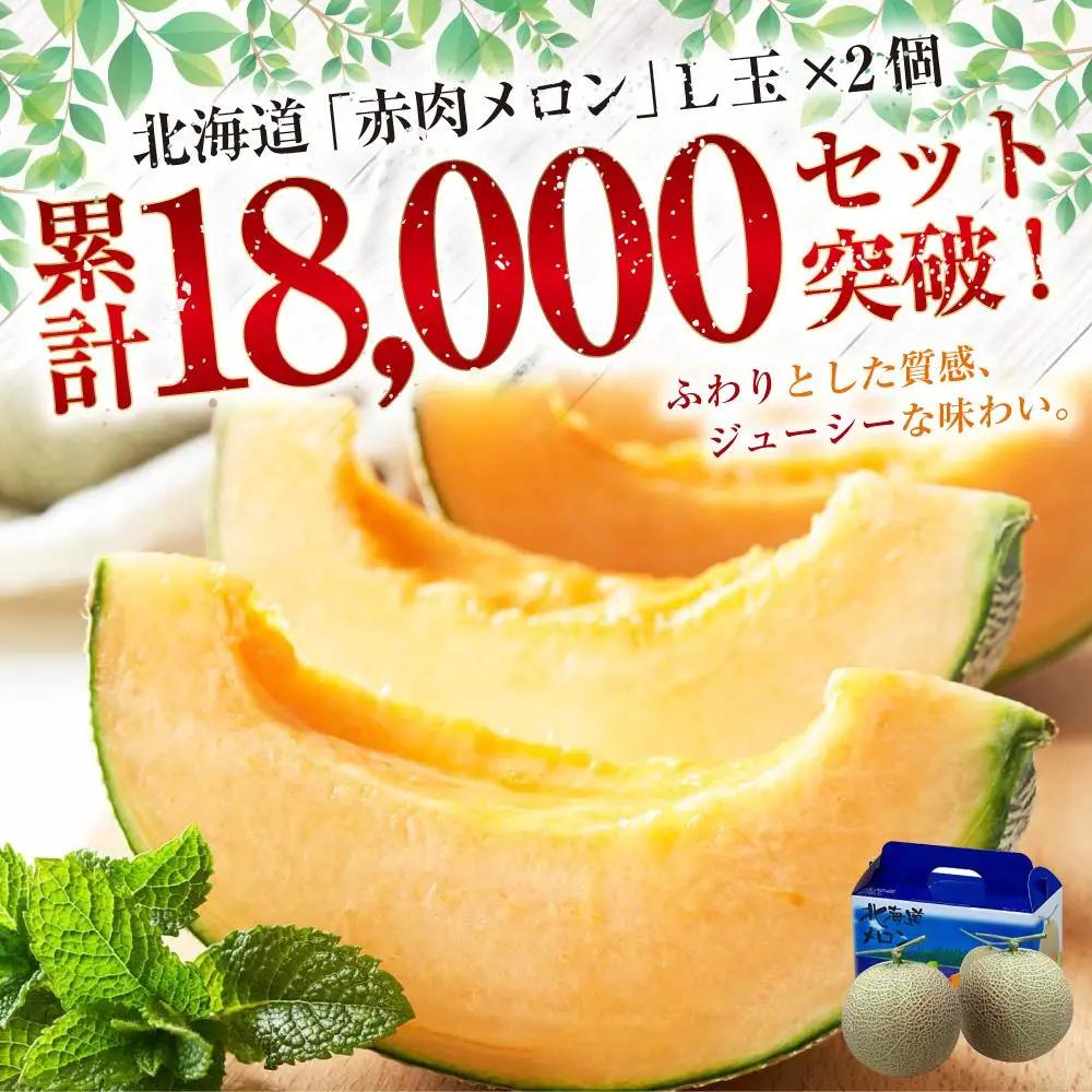 【26年発送先行予約】北海道 秀品 赤肉メロン L玉×2個 (2026年7月発送開始予定) _00112