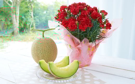 《 母の日 》 マスクメロン1玉とカーネーション1鉢 【2026年5月上旬発送（母の日）】 先行予約 果物 メロン 青肉 花 カーネーション 贈答 ギフト 贈り物