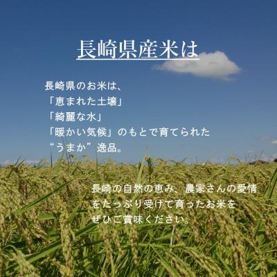 ふるさと納税 長崎市 【令和6年産】無洗米 長崎なつほのか 計10kg(2.5kg×4袋) |  | 01
