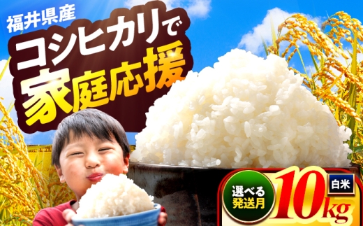 【2月発送】小浜市産コシヒカリ 精米 10kg 若狭の自然が育てたごはん 国産米 福井県 / 白米  地域密着 米問屋 小浜市 / 梅田東米穀店 [BFEK003]