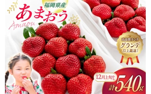 いちご あまおう 270g 2p 計540g【12月発送】[hurrah. 福岡県 宇美町 um40bjm200005] イチゴ 苺 フルーツ 果物 果実 甘い あまい グランデ