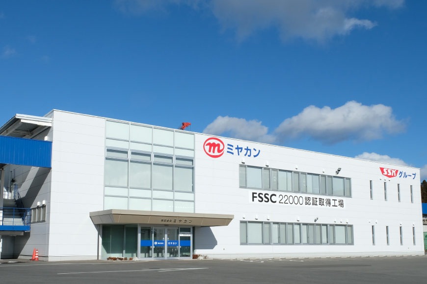 缶詰 ピリ辛ツナ 75g ×24缶 [ミヤカン 宮城県 気仙沼市 20563468] ツナ缶 ツナフレーク キハダマグロ ピリ辛 おかず 小分け 常備 ストック 長期保存