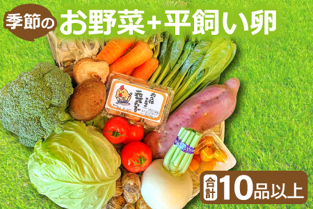 A-793 新鮮！季節のお野菜と平飼い卵のセット（10～12品）