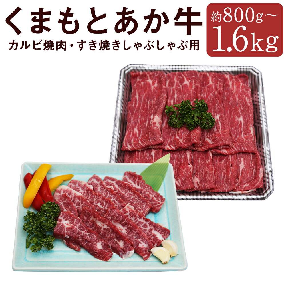 【ふるさと納税】くまもとあか牛 カルビ焼肉用・すきやきしゃぶしゃぶ用 セット 約800g/約1.6kg 選べる内容量 2種類 食べ比べ セット お肉 和牛 牛肉 熊本県産 九州産 国産 冷凍 送料無料