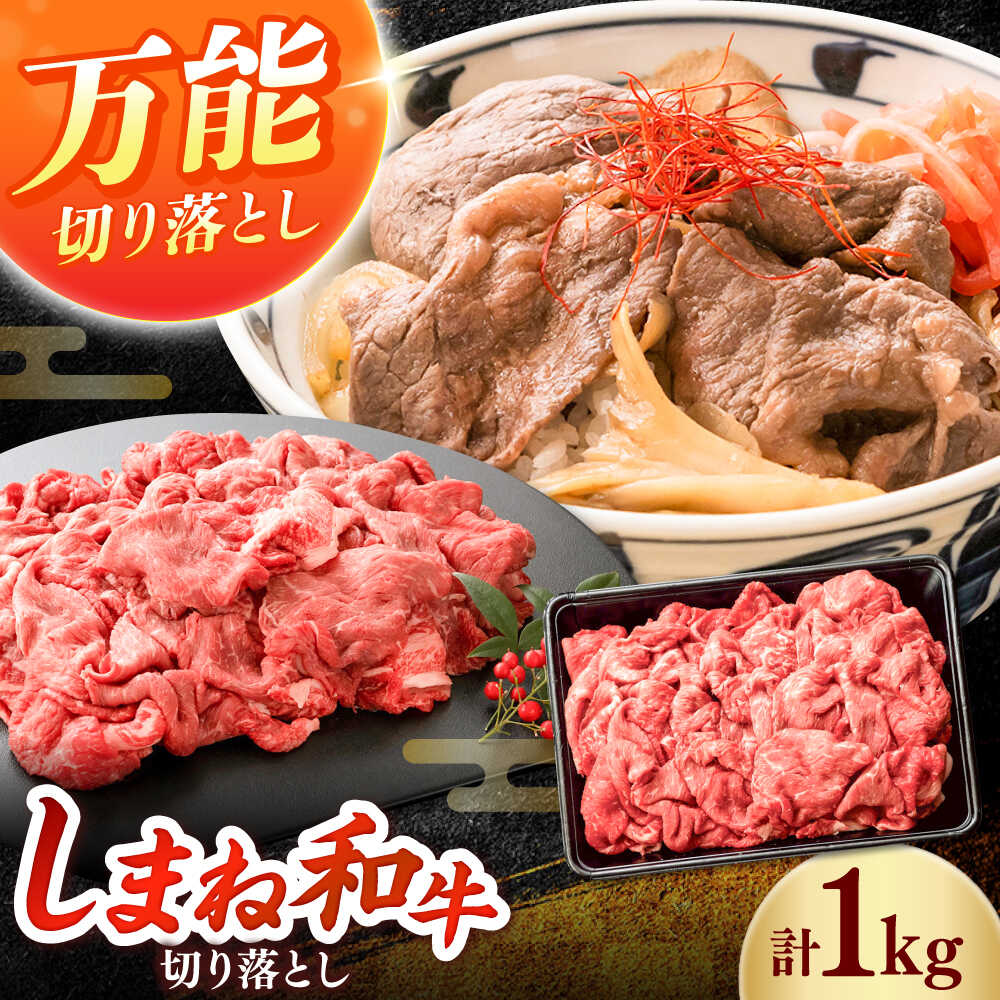 【ふるさと納税】しまね和牛 切り落とし 1kg 和牛 牛肉 スライス / 島根県雲南市 / フジキコーポーレーション株式会社[AIEA001]