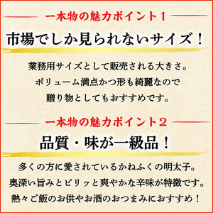 【ふるさと納税】かねふく 1kg 辛子明太子 Lサイズ(1本物)3箱 [a0556] 藤井乾物店 ※配送不可：離島【返礼品】添田町 ふるさと納税