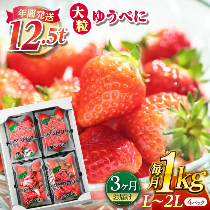 【ふるさと納税】【先行予約】【3回定期便】大粒いちご L〜2L ゆうべに 1kg（4pc）【熊本ベリー】[ZER004] イチゴ 苺 ストロベリー 旬 評判 レビュー 完熟 フレッシュ 国産 熊本県産 山鹿 果物 くだもの フルーツ 人気 産地直送 特産 ブランド おすすめ 期間限定 送料無料